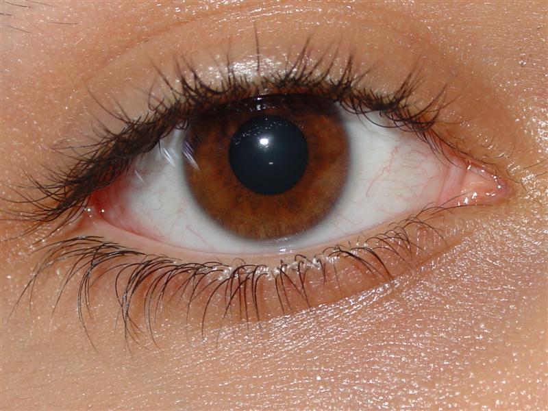 Menschliches_auge.jpg